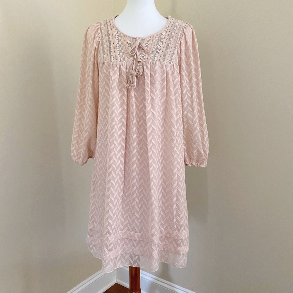 Anthropologie Embroidered Tunic Dress dusty pink